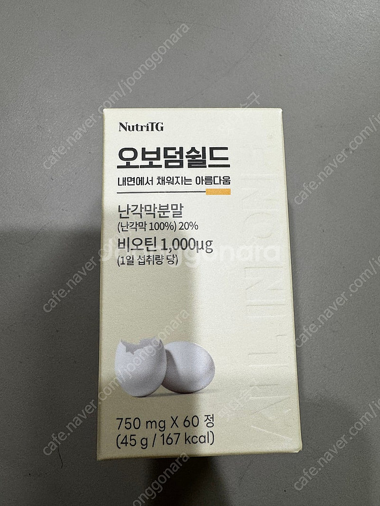 오보덤쉴드--0