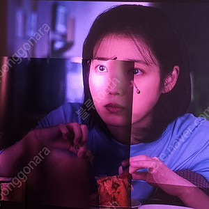 프레넬