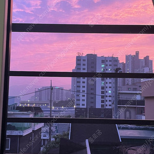 추천인X 여러종류 삽니다. 누구나 가능