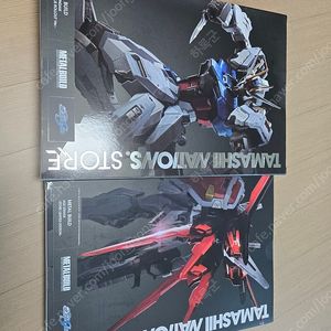 메탈빌드 스트라이크헬리오, 에일스트라이커