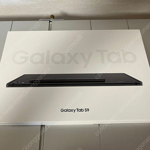 갤럭시 탭 S9 256GB wifi