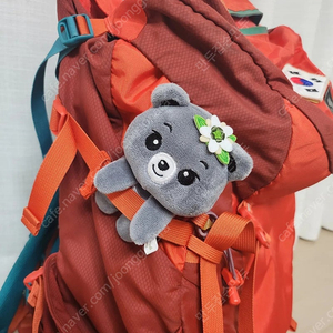 국립공원 산솜다리 빼꼼 반달이 걸이 이미지