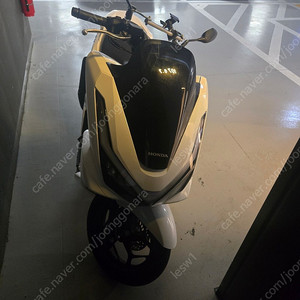 pcx125 2025년식 5월 구매.