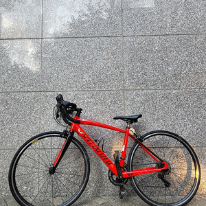 스페셜라이즈드 알레 주니어