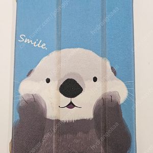 아이패드 미니4