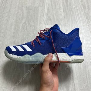 아디다스 데릭 로즈 7 로우 농구화 280
