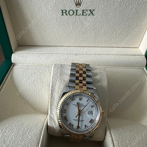 롤렉스 데이저스트36 엘골 로만