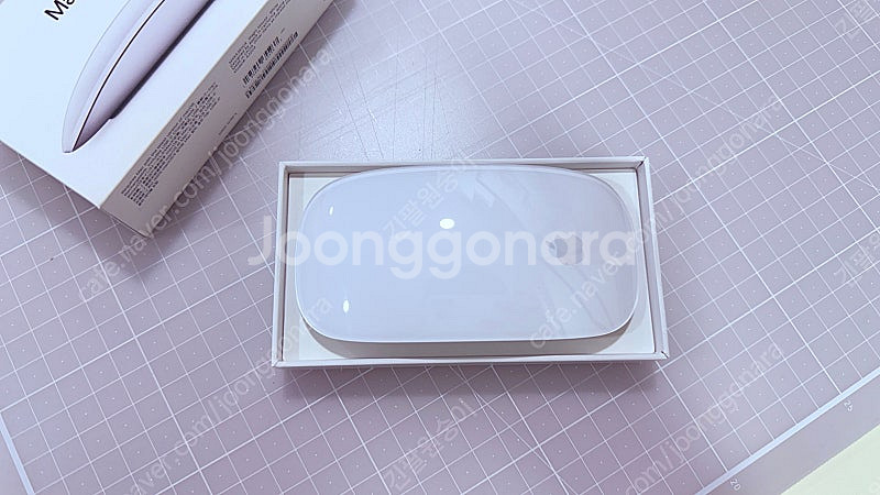 애플 매직마우스2 USB-C타입--1