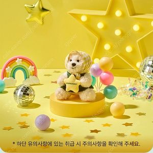 kb국민은행x스타벅스 베어리스타