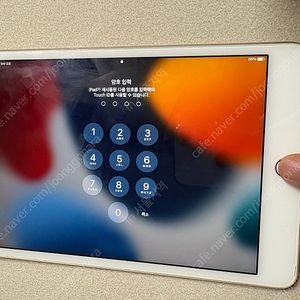아이패드 미니4 세룰러 (ipad mini4)