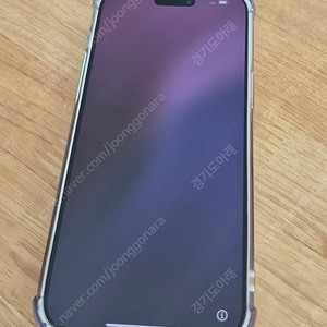 Apple 아이폰15 Pro Max 256GB