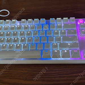 K70 tkl mgx 팝니다.