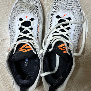 루카1
