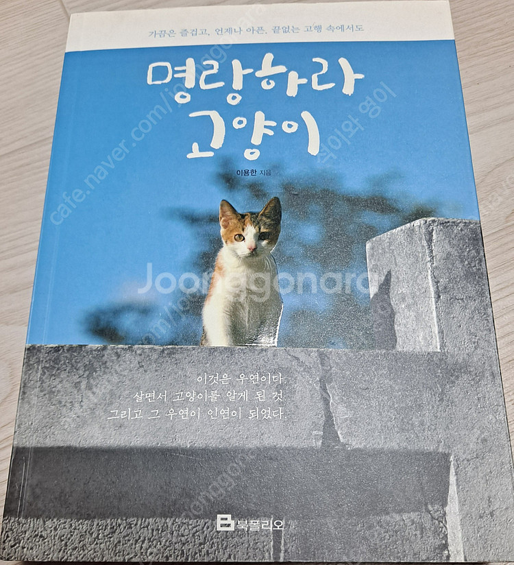 펫 식기/ 내시가 된 고양이/﻿명랑하라 고양이/﻿안녕,...--3
