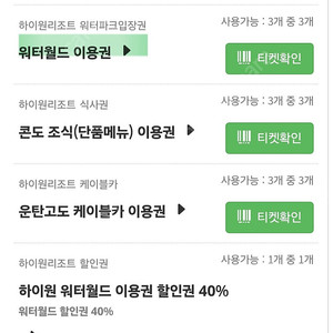 하이원 워터월드 3매 성수기 종일권