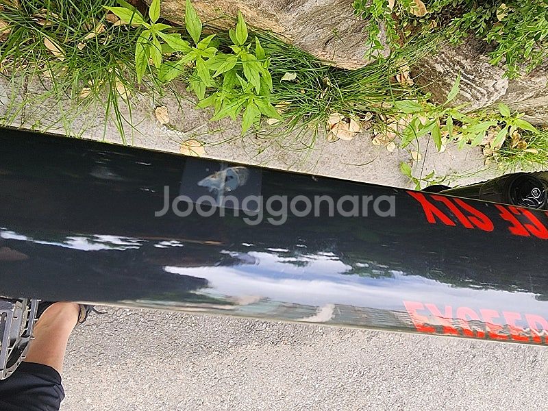 캐니언 익시드 cf slx 8.9--2