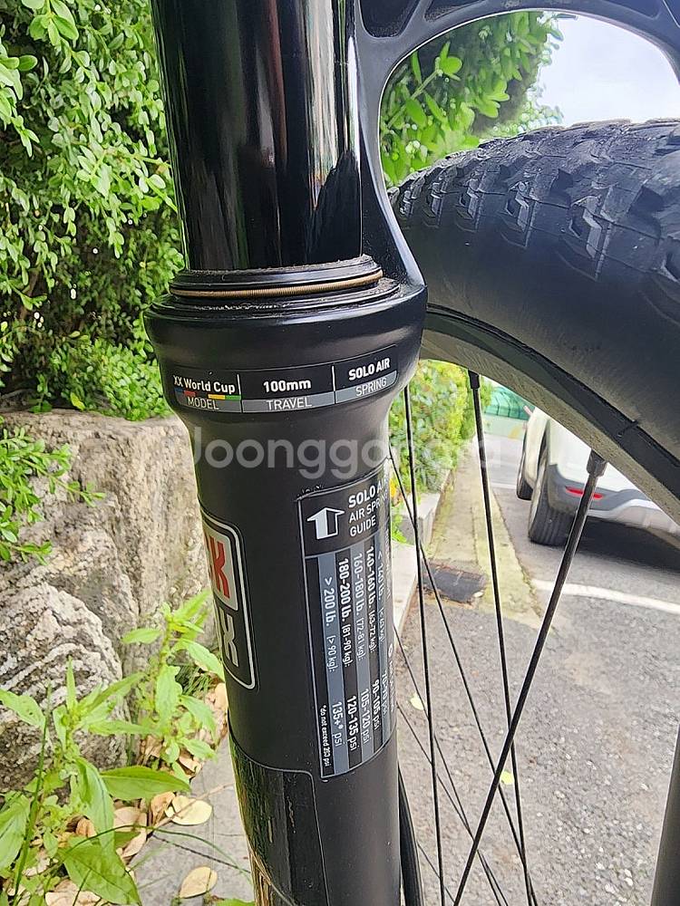 캐니언 익시드 cf slx 8.9--5