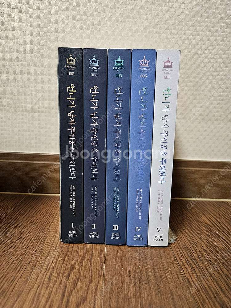로맨스소설 언니가남자주인공을주워왔다 5권 (소장용,완결...--2