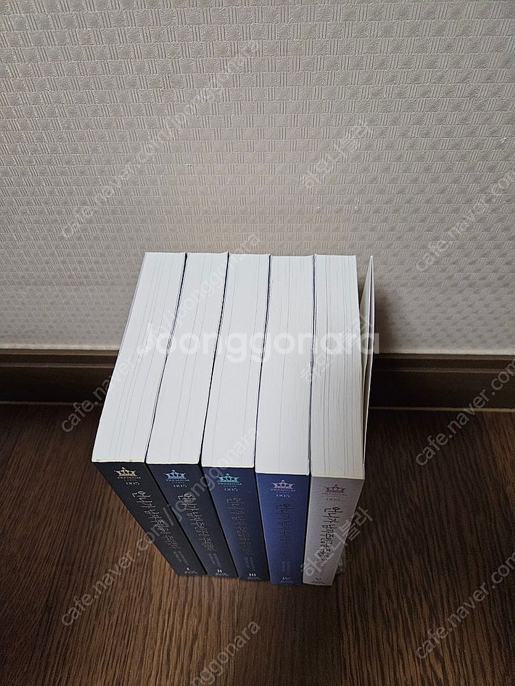 로맨스소설 언니가남자주인공을주워왔다 5권 (소장용,완결...--3