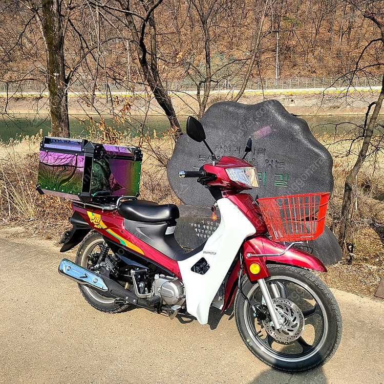 25식 대림 DNA모터스 시티베스트 115cc (앞뒤 디스크모델) 이미지