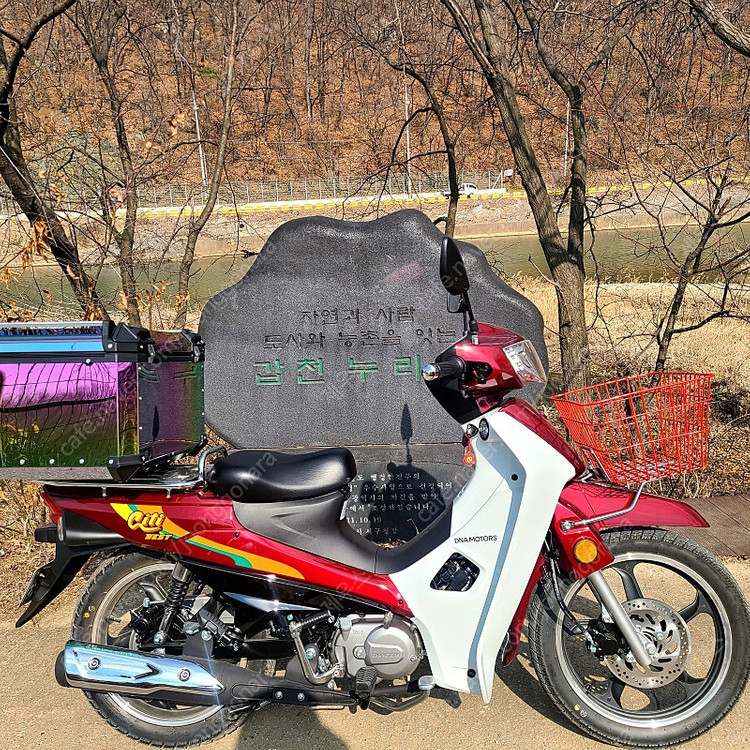 25식 대림 DNA모터스 시티베스트 115cc (앞뒤 디스크모델) 이미지