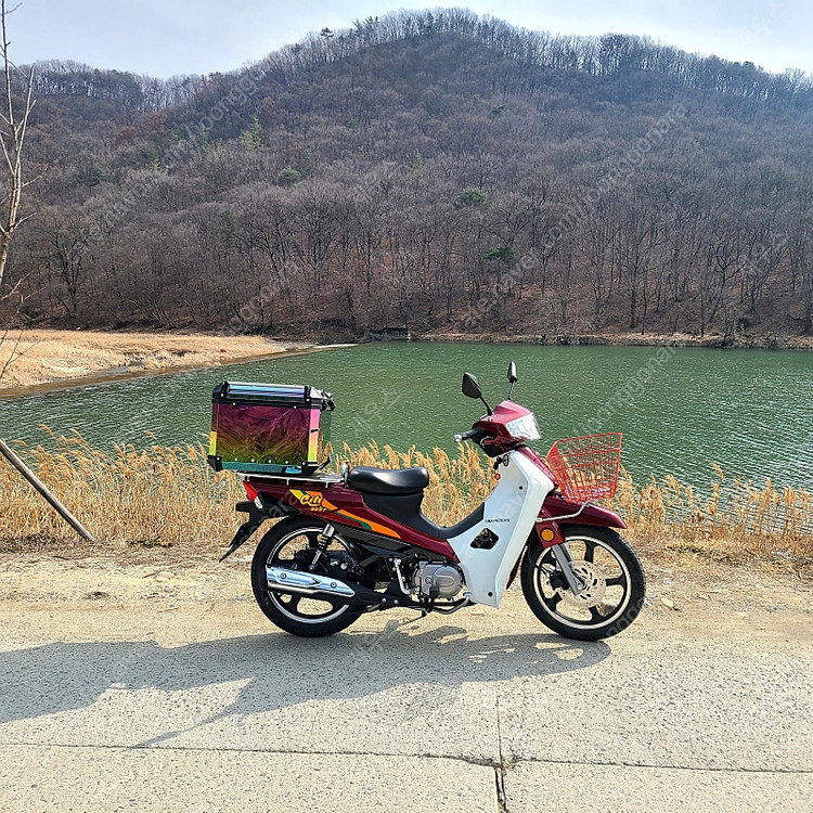 25식 대림 DNA모터스 시티베스트 115cc (앞뒤 디스크모델) 이미지