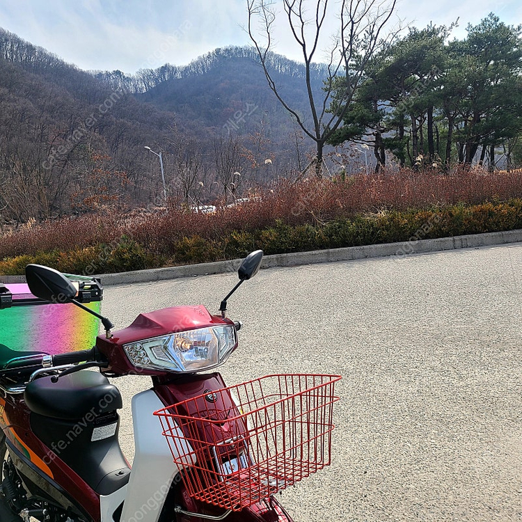 25식 대림 DNA모터스 시티베스트 115cc (앞뒤 디스크모델) 이미지