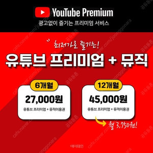 유튜브 넷플릭스 디즈느 티빙 프리미엄 12개월 +1개월 서비스 2명급구합니당!!