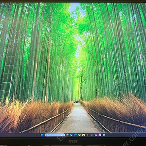 MSI MAG323UPF 32인치 4k 160HZ 모니터