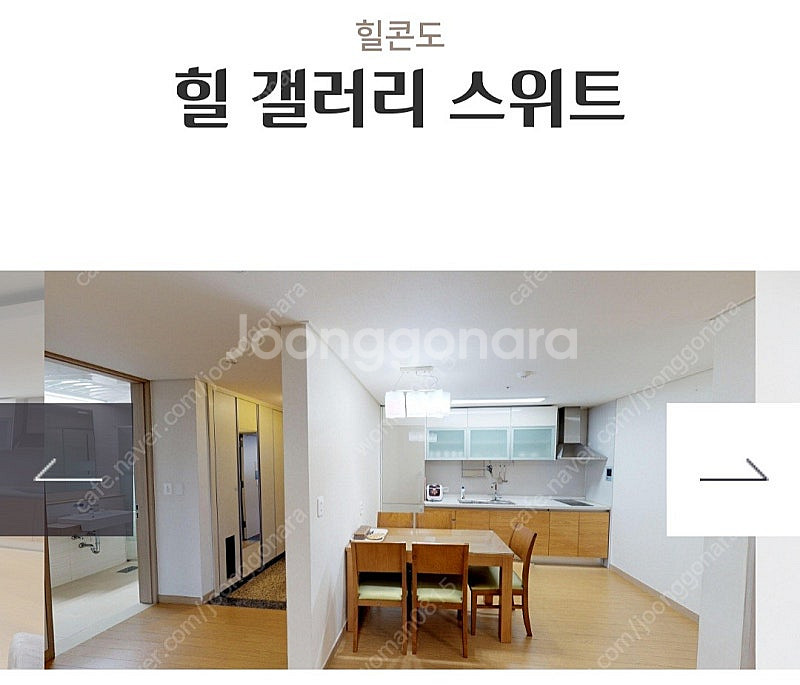 하이원 리조트 27일 객실 40평 스위트 특가--0