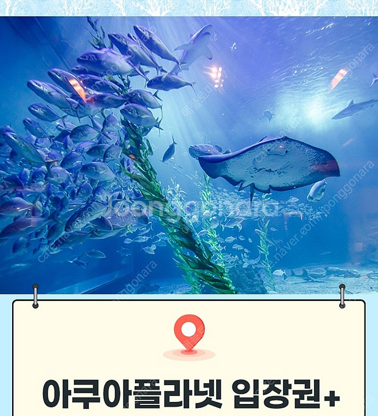 제주/ 여수/ 광교/ 일산 아쿠아플라넷 아쿠아리움--0