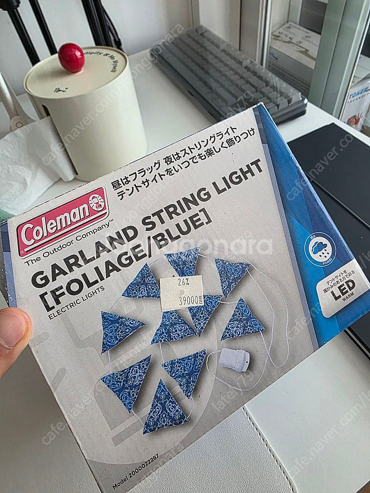coleman garland string light 팝...--2