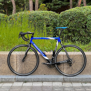 피나렐로 도그마 AK61 마그네슘