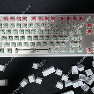 커세어 k70 pro tkl mgx 화이트