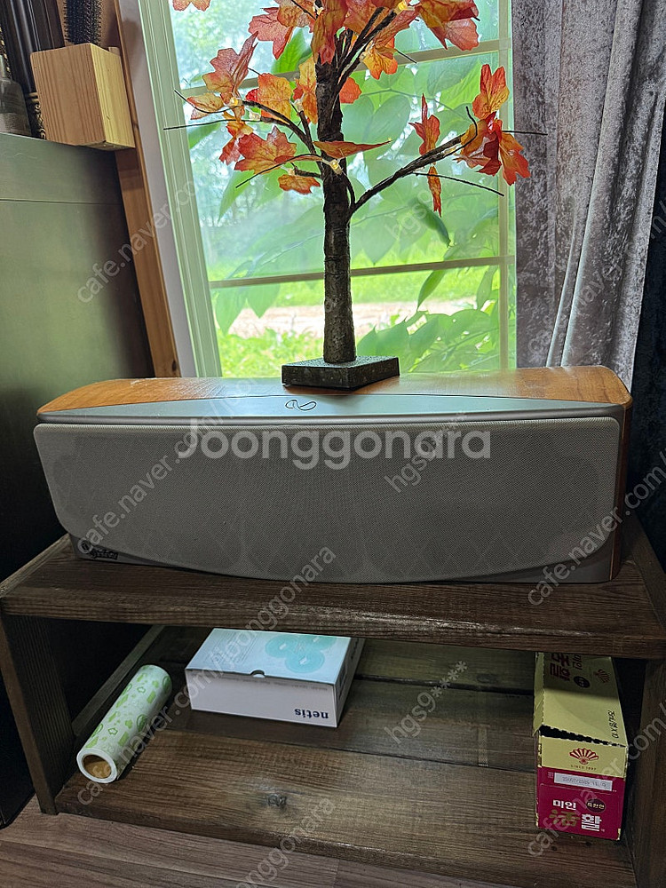 인피니티 카파 센터스피커--0