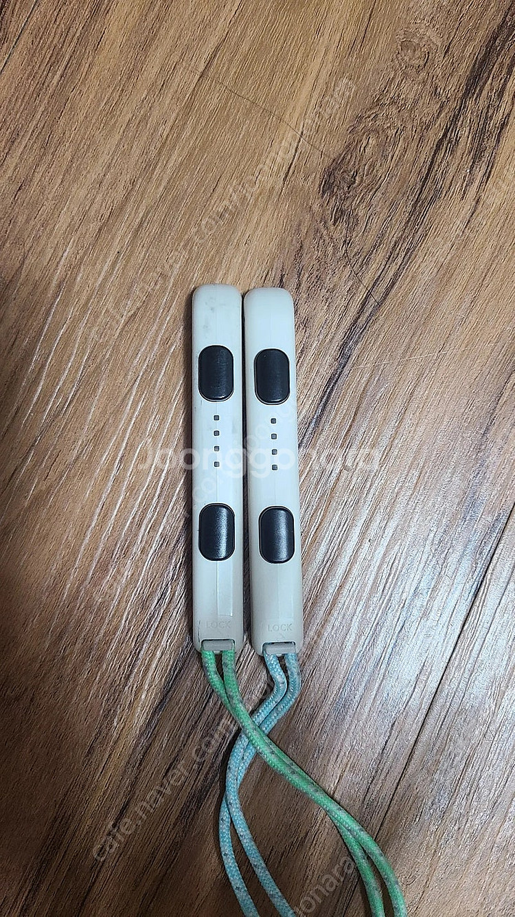 닌텐도 스위치 동물의 숲 에디션 판매합니다--1