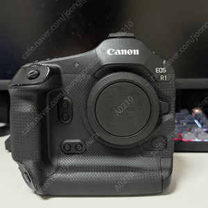 캐논 EOS R1 600만원