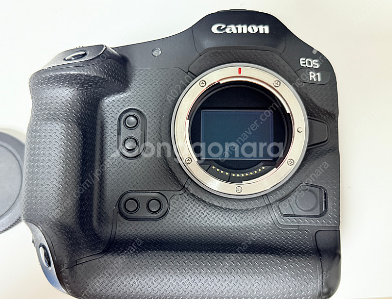 캐논 EOS R1 600만원--1