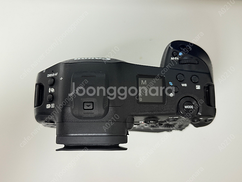 캐논 EOS R1 600만원--4