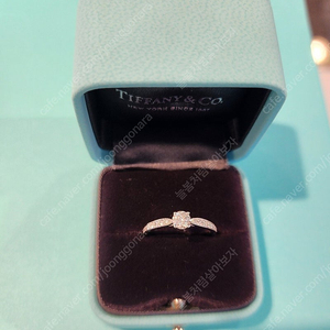 이번주만할인(정품)티파니앤코 하모니 다이아 반지 11.5호 0.33ct