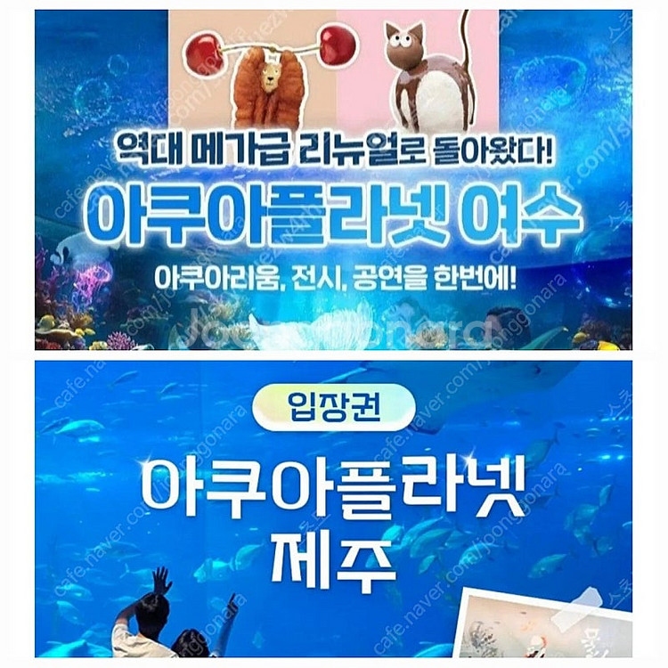칼답) 여수 제주 아쿠아플라넷 제주 여수 모바일입장권--0