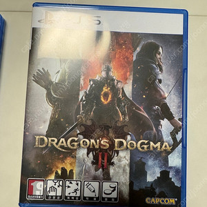 ps5 드래곤즈도그마2