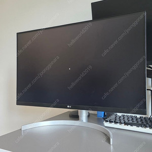 LG 4K UHD 27인치 모니터 (27UL850)