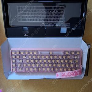 독거미 WIN68HE Ultra 울트라 유선 게이밍 기계식 키보드 핑크 팔아요