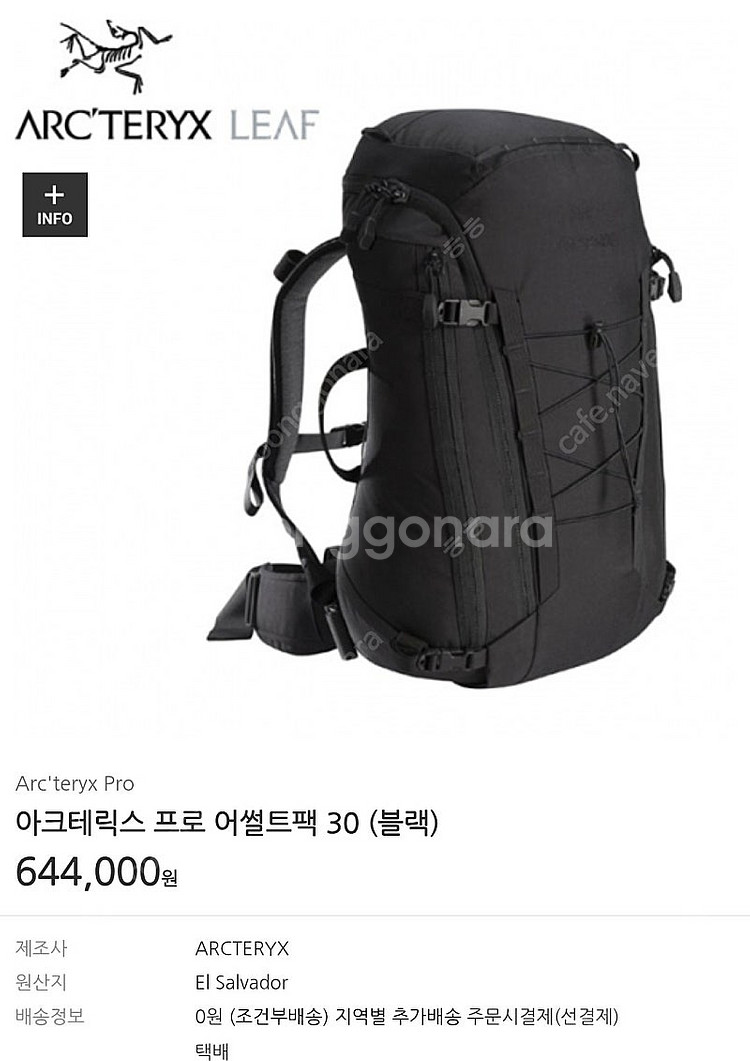 아크테릭스 리프(프로) 어썰트팩 30 블랙 판매--0