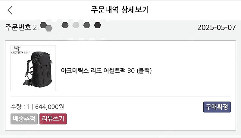 아크테릭스 리프(프로) 어썰트팩 30 블랙 판매--1