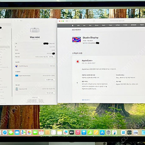 [ APPLE ] 애플 스튜디오 디스플레이 (기울기 및 높이 조절 스탠드, AC+)