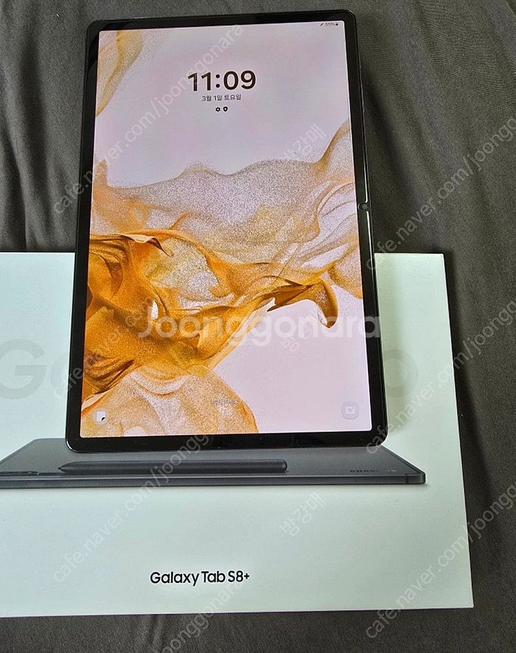 갤럭시탭S8+ 256GB Wifi--1