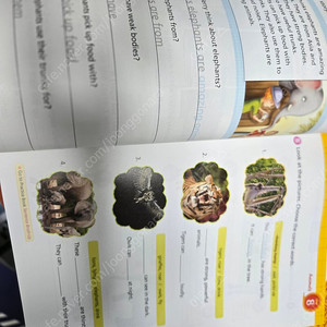 Guided Writing 영어 교재 새상품3권