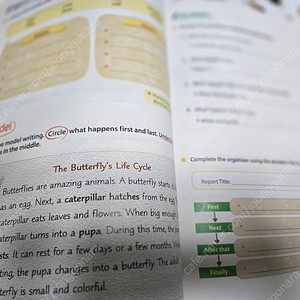 Guided Writing Plus 영어 교재